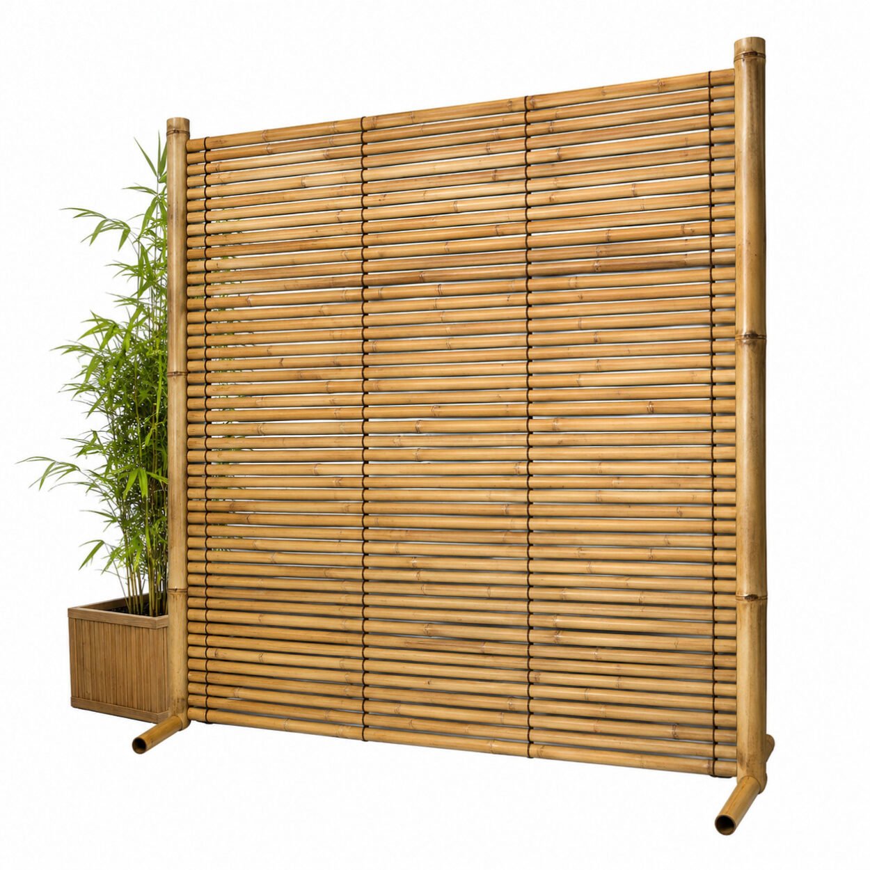 Bamboo Screens
